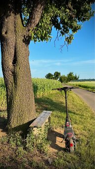 Elektrokoloběžka/Elektrická koloběžka Segway p100 50km/h - 4