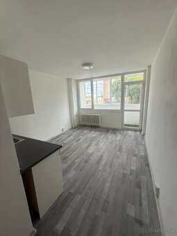 Pronájem bytu 1+kk v OV - 4