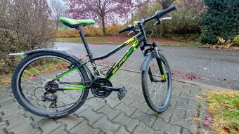 Kolo Superior Paint 24 - 4