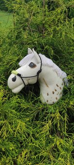 Hobby horse - 4