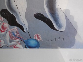 Salvador Dalí, ofsetový tisk, pasparta, zarámovaný a zasklen - 4
