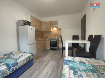 Pronájem bytu 1+1, 36 m², Strážný - 4