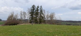 Pozemek - ostatní se stromy -1128 m² - 4