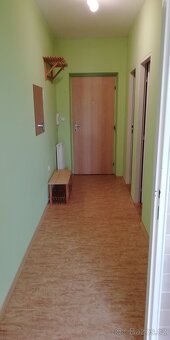 Pronájem bytu 1+kk Bystřice pod Hostýnem - 4