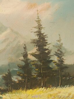 Obraz Vítězslav Fleissig Vysoké Tatry, olej 31x42 - 4