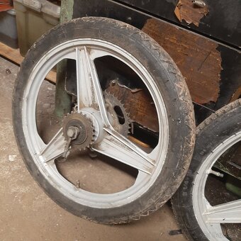 Manet Korádo,Babetta - 4