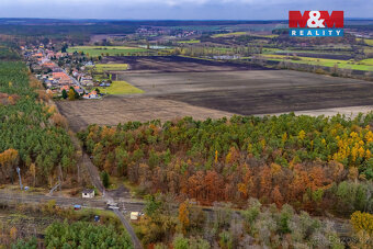 Prodej lesa, 6436 m², Lysá nad Labem - 4