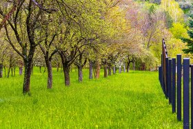 Prodej stavební parcely 2072 m2 Starý Hrozenkov - 4