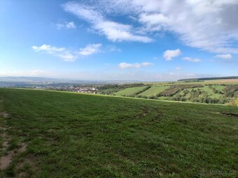 Jeřáb oskeruše zahrada - potok - 4