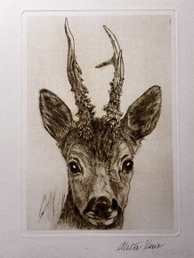 Aleš Vaic - lovecka tematiky - 4