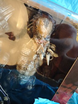 Predátor 1/4 Neca 50cm - 4