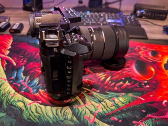 Lumix S1 + Sigma Pro Art 24-70mm - 4