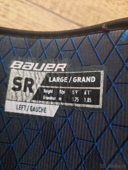 Prodam holene easton 14" a lokty bauer x vel. L - 4