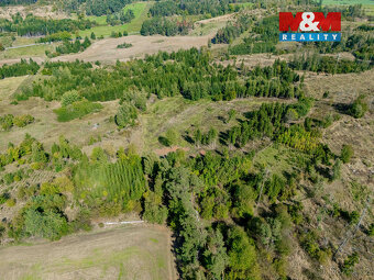 Prodej lesa v Horních Heřmanicích - 4