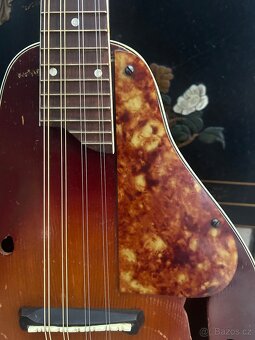 Masivní Americká Mandoliná Kay - 4