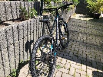 Kellys spider 70 - 4