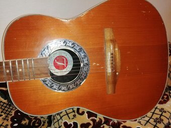 Devíti strunná kytara - 4
