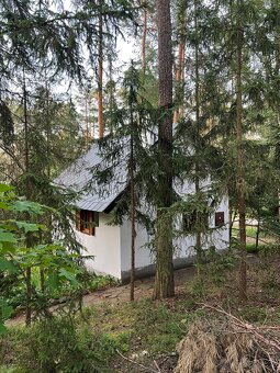 Pronájem chaty, Máchovo jezero - 4