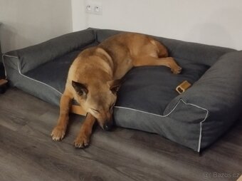 Velký pelíšek pro psa - 4