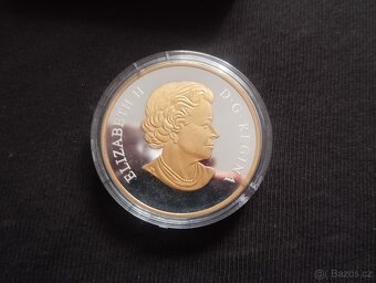 Střibrná investiční pozlacená mince 1oz. - 4