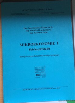 VUT - Fakulta Podnikatelská - Manažérska informatika skripta - 4