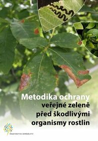 Metodika ochrany veřejné zeleně před škodlivými organismy - 4
