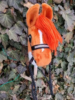 Hobby horse - 4