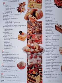 Kuchařka hrníčkové pečení - 4