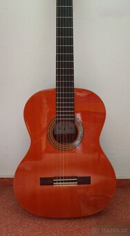 Klasická kytara - 4