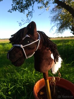 Hobby horse - 4