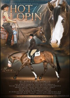 Letošní klisnička APH All around prospect - 4