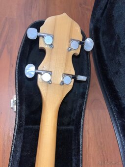 Elektrické banjo - 4