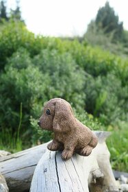 Zahradní dekorace - pes, pejsek, umělý kámen - 4