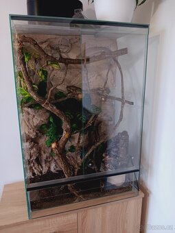 Terárium po chameleonovi - 4