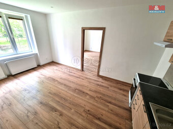 Pronájem bytu 1+1, 60 m², Ostrava, ul. Jindřichova - 4