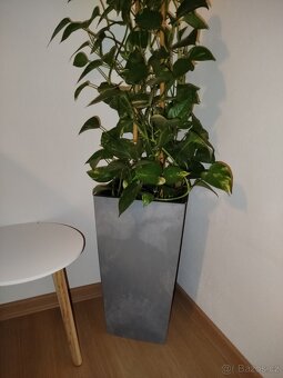 Jídelní stůl , barva beton. Vysoká váza - 4