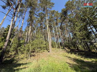 Prodej lesa, 23184 m², Milešov - 4
