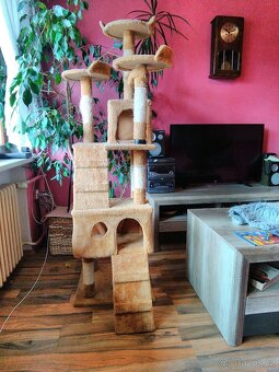 Škrabadlo strom pro kocky - 4