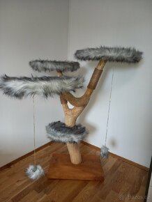 Kočičí strom - 4