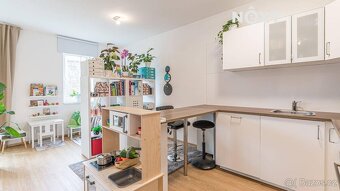 Pronájem byt 1+kk, 44㎡ - 4
