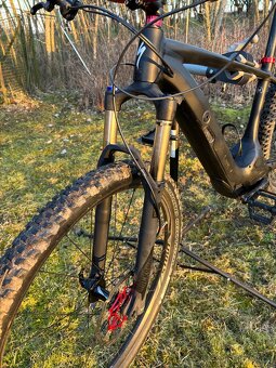 Specialized Levo HT - 4