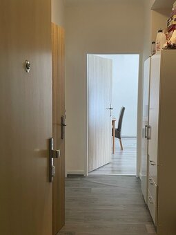 Pronájem bytu 2+1, 60m2 s lodžií - 4