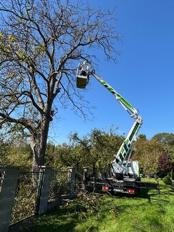 Pronájem plošiny - 4