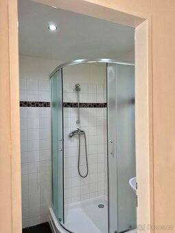 Pronájem bytu 1+kk Hodonín - 4