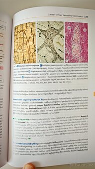 Učebnice HISTOLOGIE - Renate Lüllmann-Rauch - 4