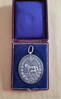 RU Ag medaile Státní cena za chov koní FJI v etui - 4