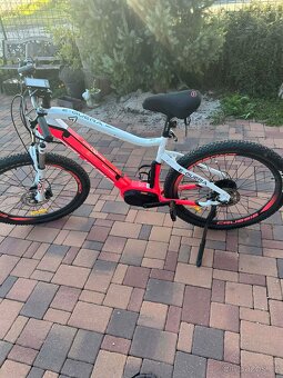 Elektrokolo Crussis - 4