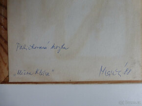 obrázky paličkovaná krajka - Mráčková - 4