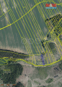 Prodej lesa, 7105 m², Křešín - 4