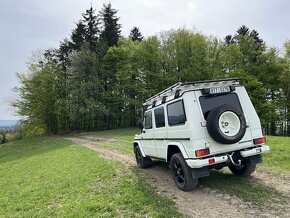 Mercedes Benz G 300 cdi Professional - 4